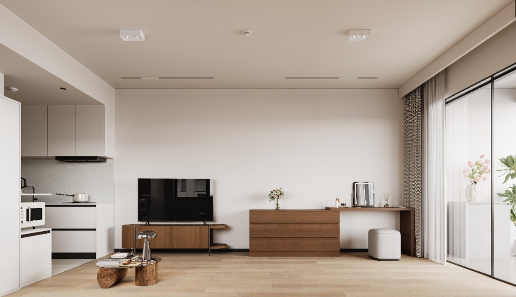 Studio living and sleeping area