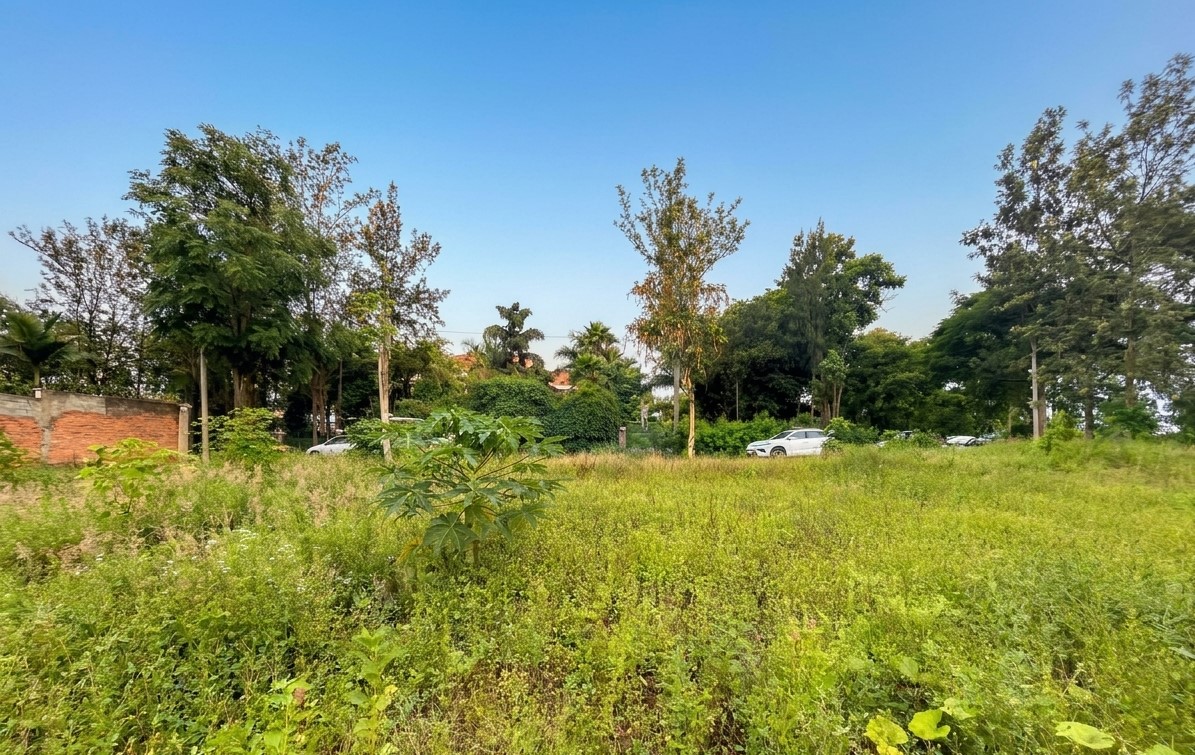 Diplomatic Garden View from Golf Central Residence